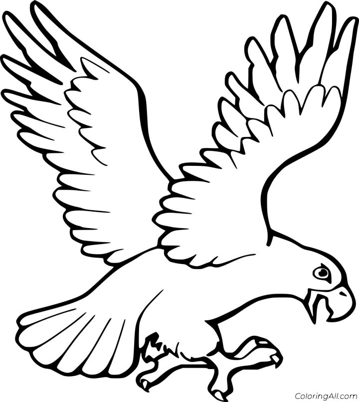 25 Free Bald Eagle Coloring Pages for Kids and Adults