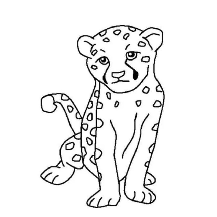 25 Free Cheetah Coloring Pages for Kids and Adults