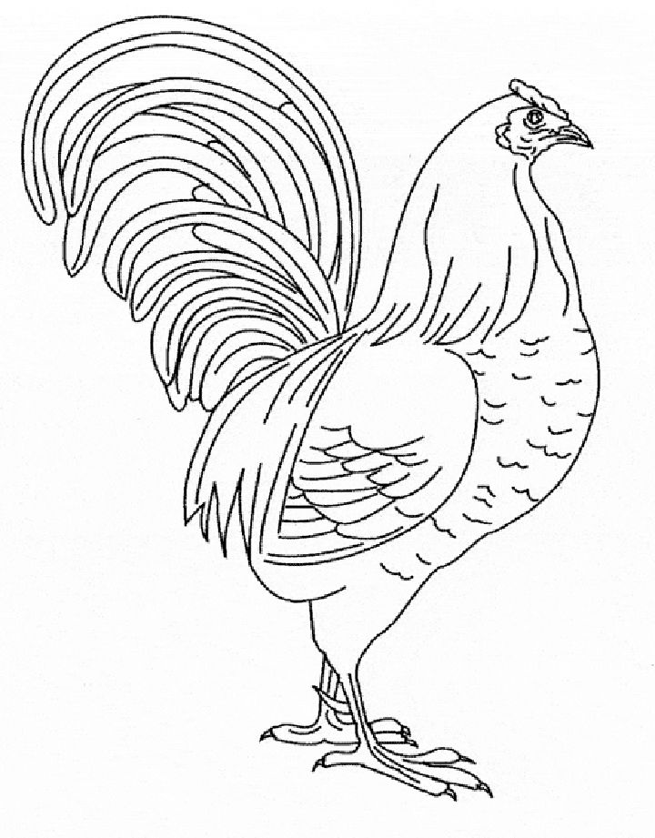 20 Free Chicken Coloring Pages for Kids and Adults - Blitsy