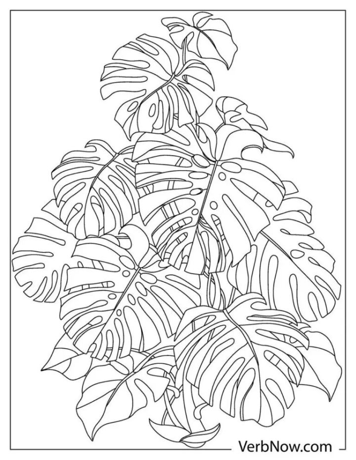25 Free Leaf Coloring Pages for Kids and Adults