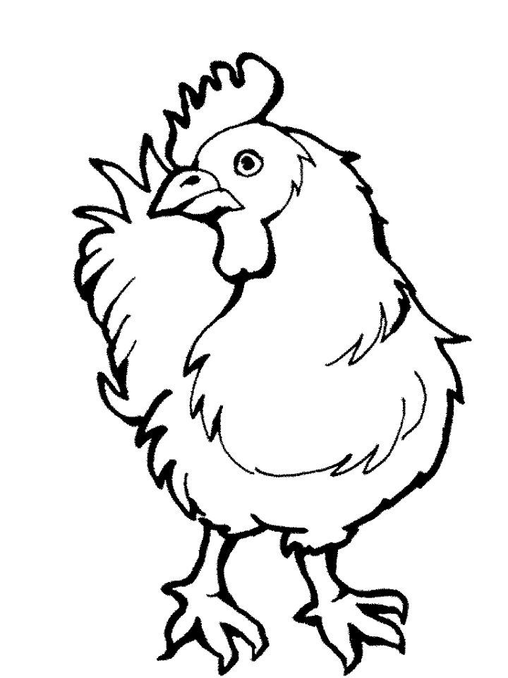 20 Free Chicken Coloring Pages for Kids and Adults - Blitsy