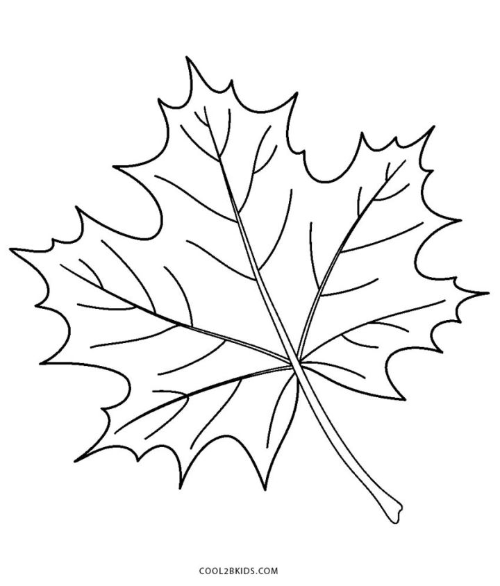 25 Free Leaf Coloring Pages for Kids and Adults