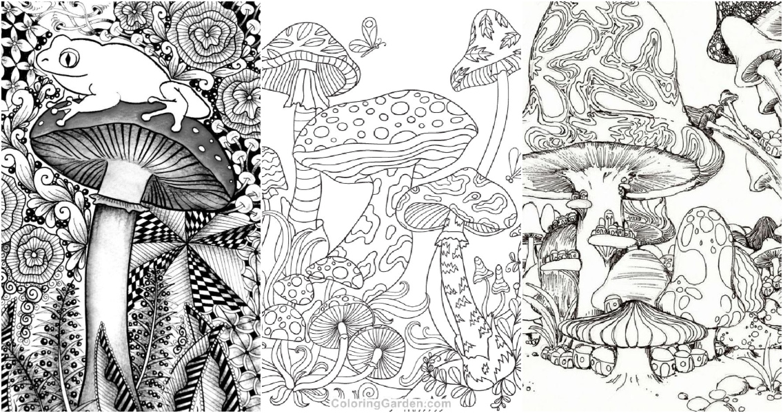 Mushroom Coloring Book Pages