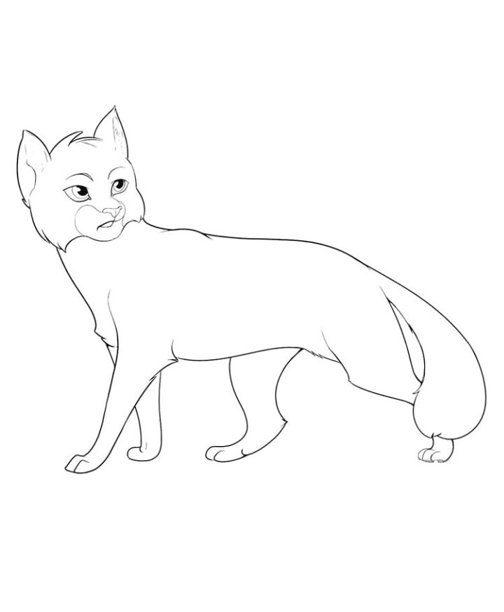 15 Free Warrior Cat Coloring Pages for Kids and Adults