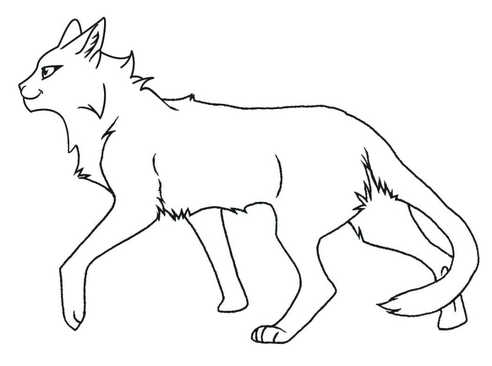 15 Free Warrior Cat Coloring Pages for Kids and Adults