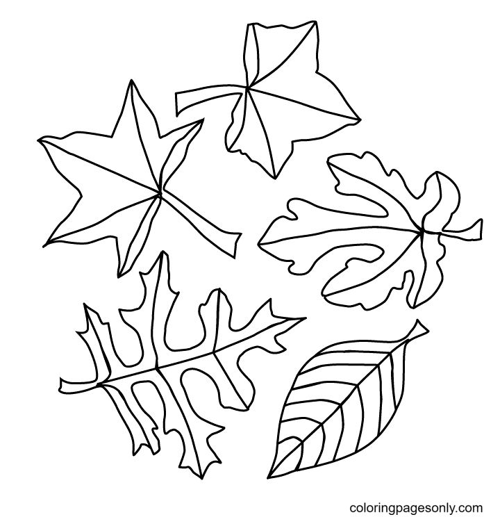 25 Free Leaf Coloring Pages for Kids and Adults