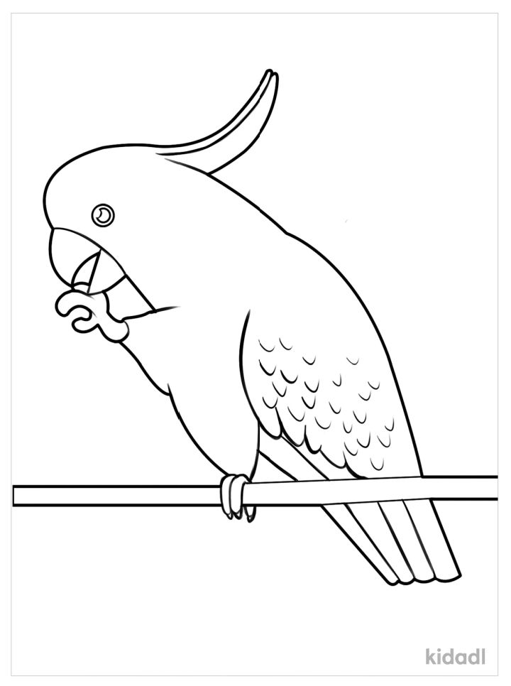 10 Vibrant Parrot Coloring Pages for Creative Fun