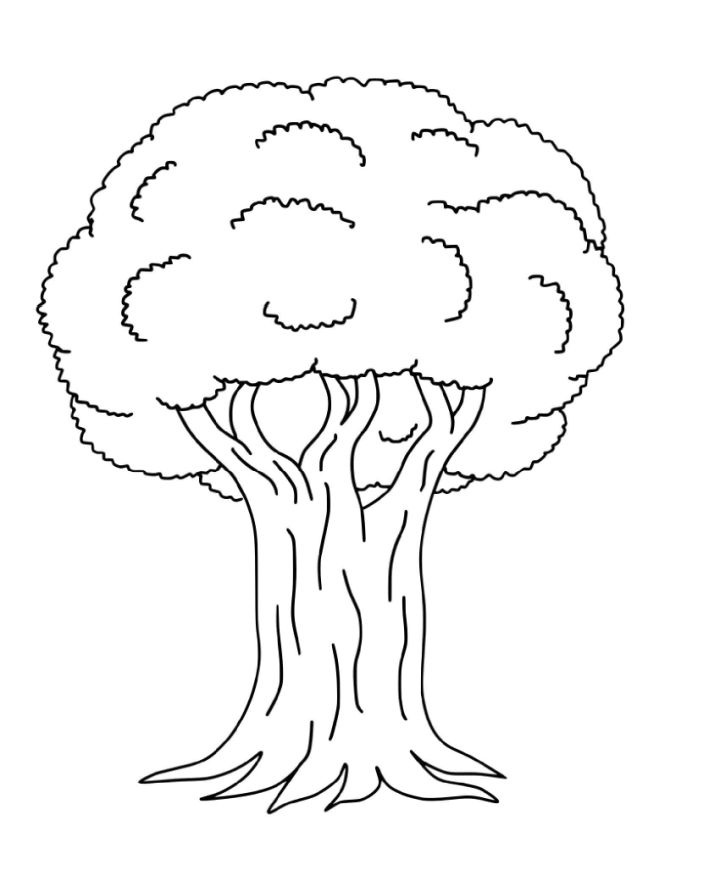 25 Free Tree Coloring Pages for Kids and Adults