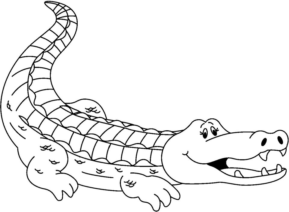 25 Free Alligator Coloring Pages for Kids and Adults