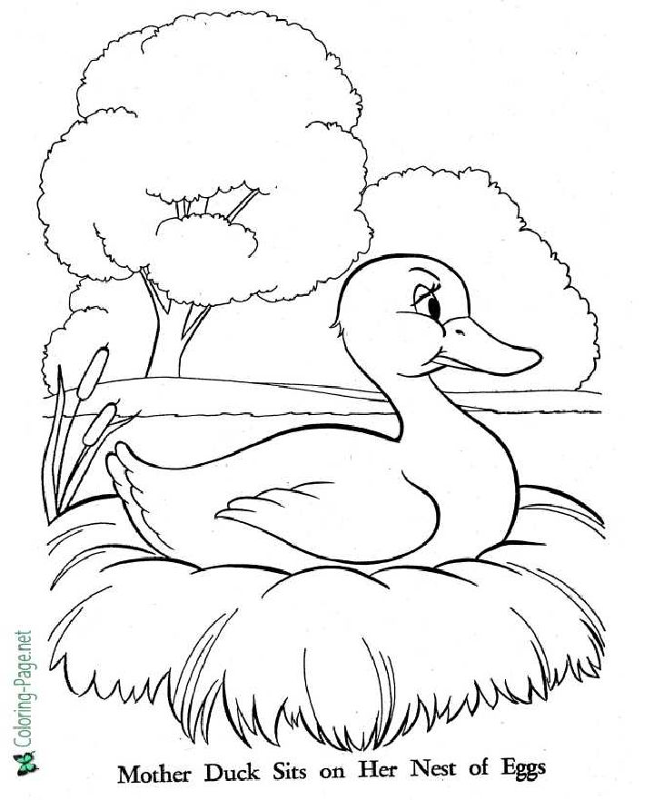 25 Free Duck Coloring Pages For Kids And Adults