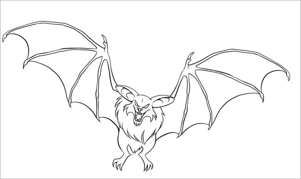 25 Free Bat Coloring Pages for Kids and Adults