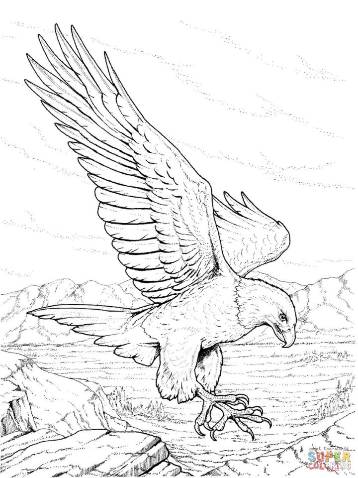 25 Free Bald Eagle Coloring Pages for Kids and Adults