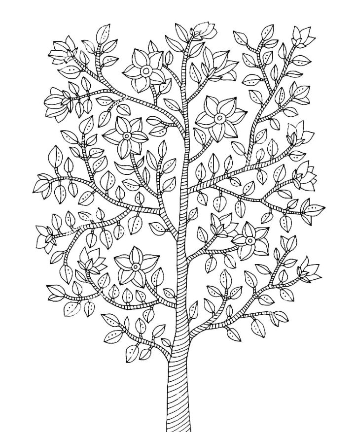 25 Free Tree Coloring Pages for Kids and Adults