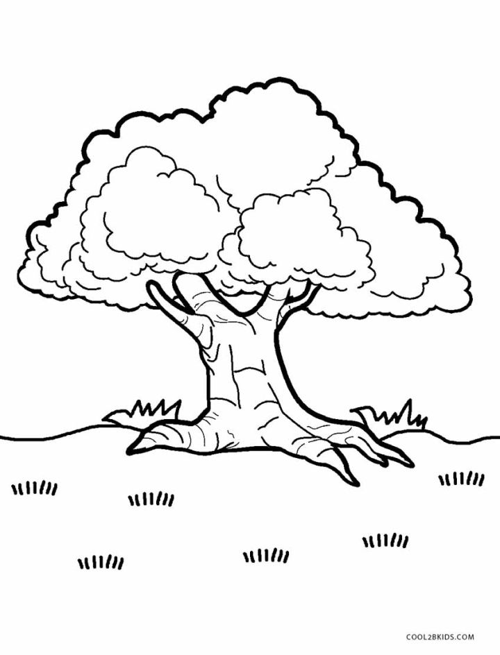 25 Free Tree Coloring Pages for Kids and Adults