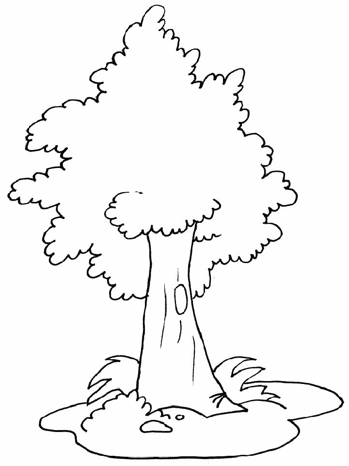 25 Free Tree Coloring Pages For Kids And Adults