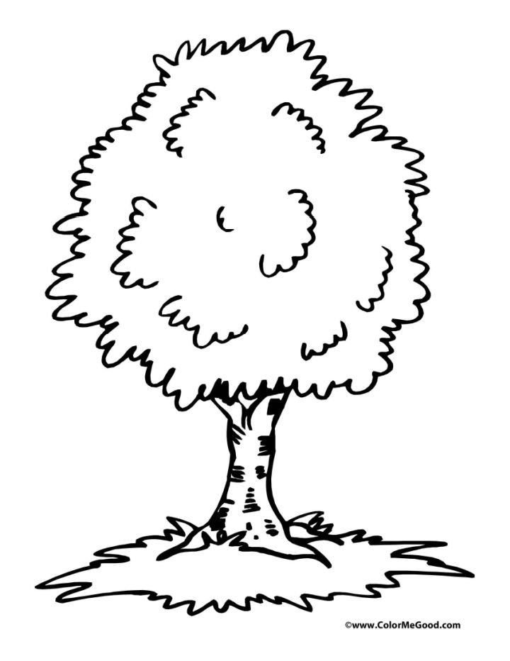 25 Free Tree Coloring Pages For Kids And Adults