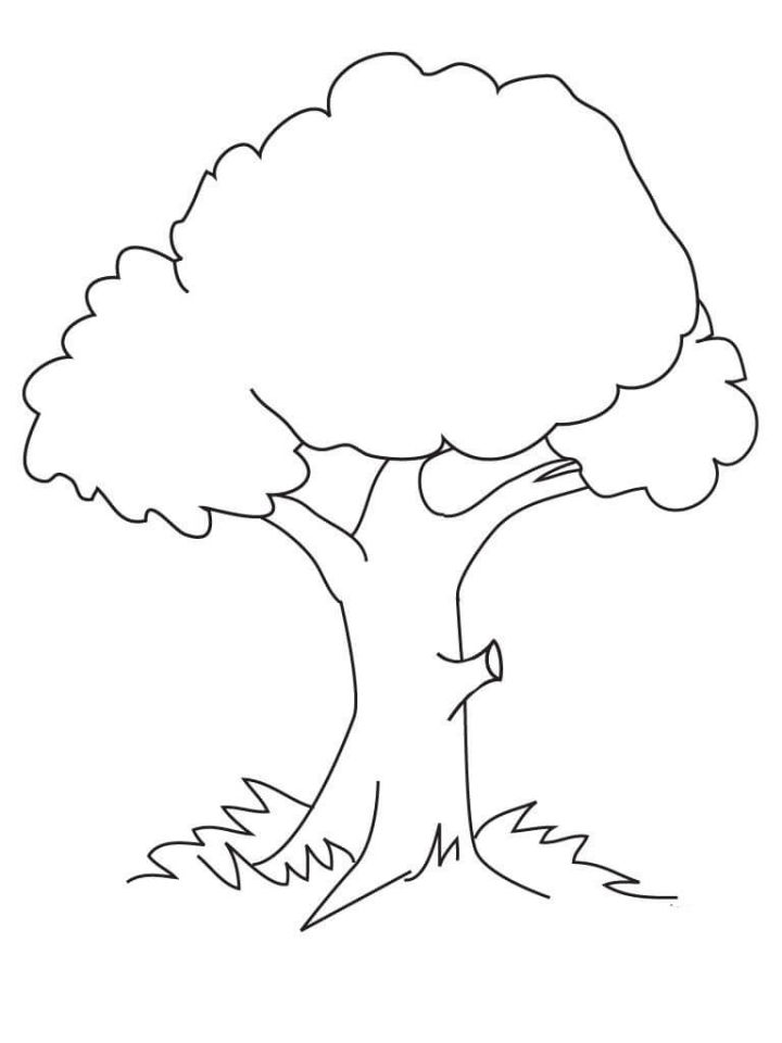 25 Free Tree Coloring Pages for Kids and Adults