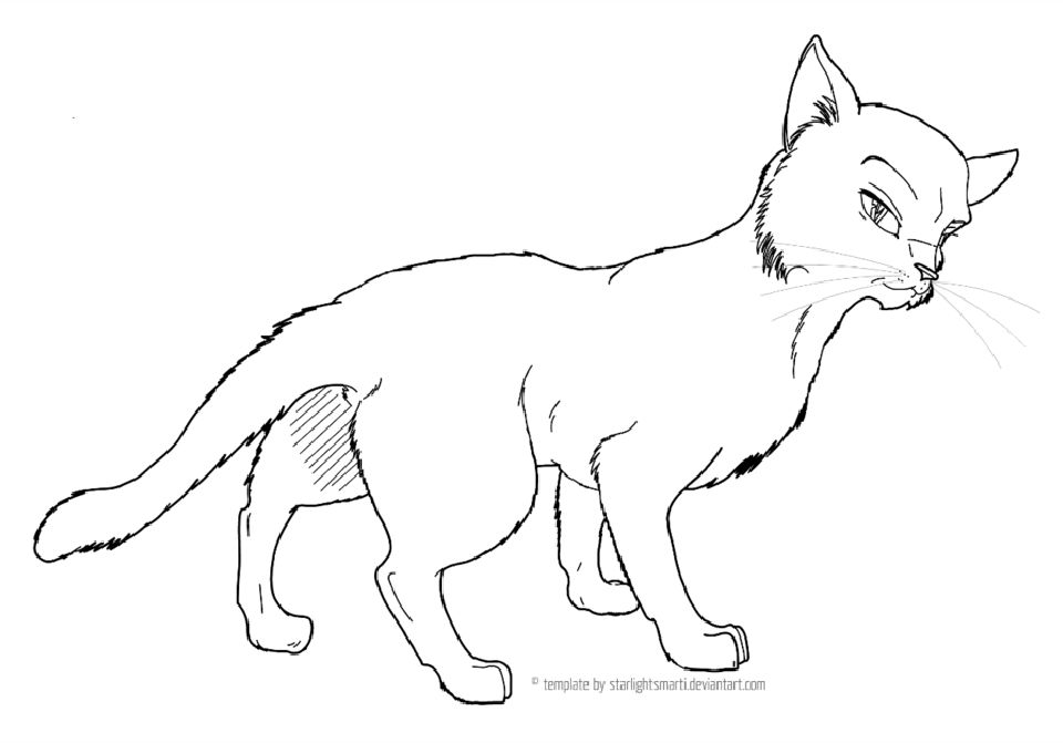 15 Free Warrior Cat Coloring Pages for Kids and Adults