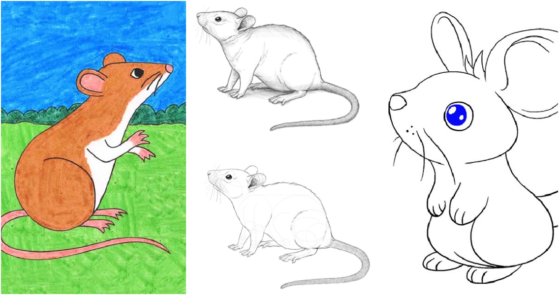 how to draw a mouse for kids step by step