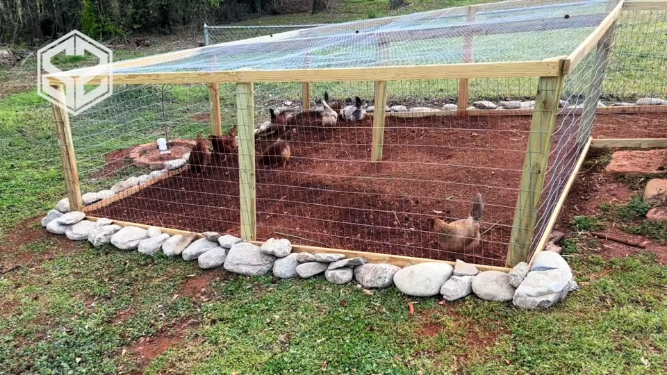 Chicken Run Making DIY Chicken Run Plans to Build - Blitsy