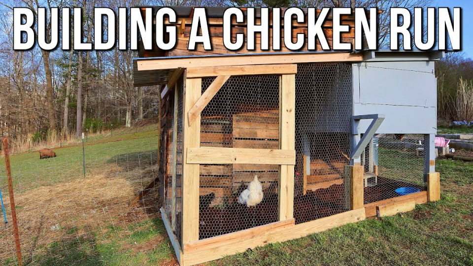 Chicken Run Making DIY Chicken Run Plans to Build - Blitsy