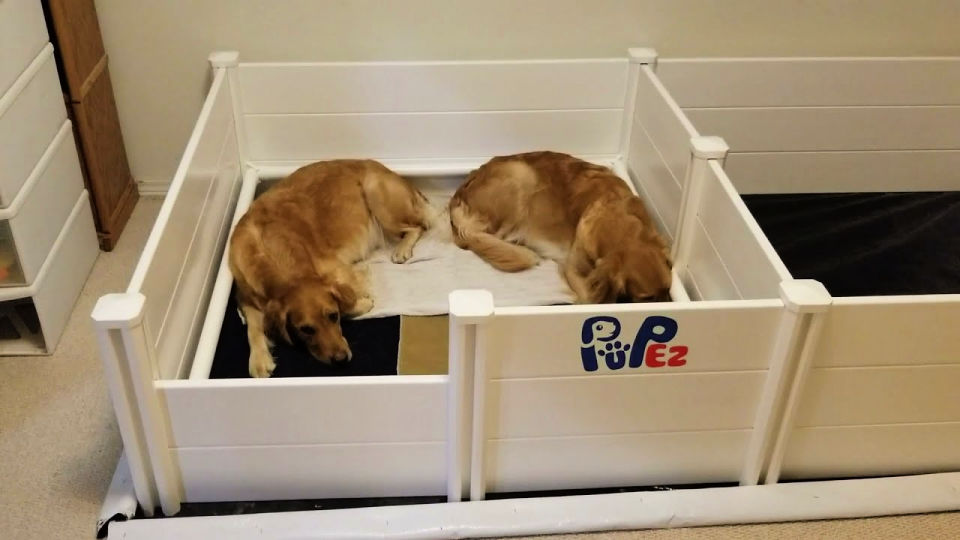 DIY Whelping Box For Your Pregnant Dog Blitsy
