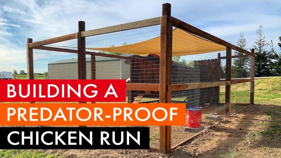 DIY Chicken Run Plans to Build - Blitsy