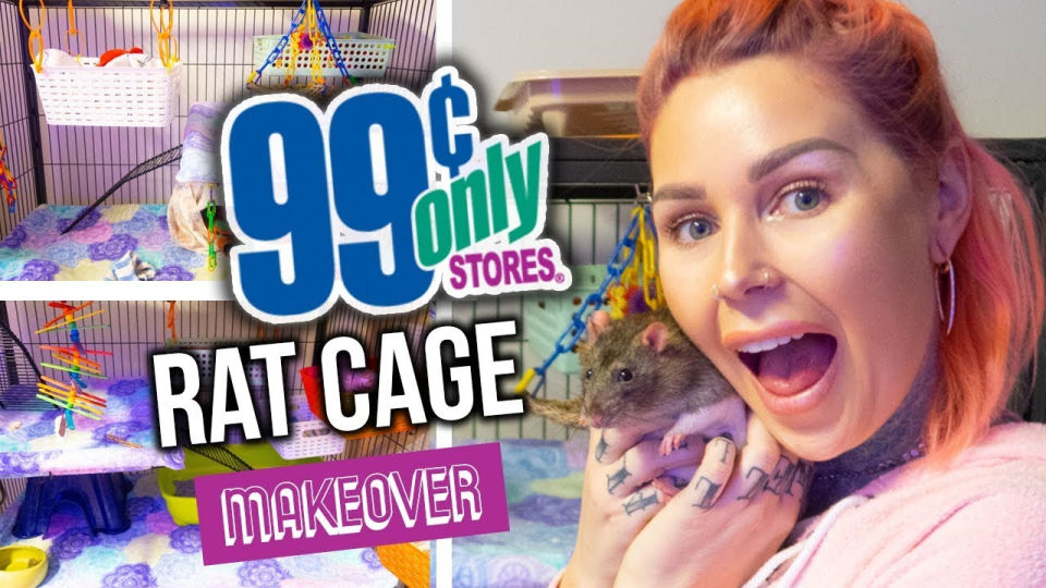 Rat Fanverse DIY Rat Cage - Step by Step Guide - Blitsy