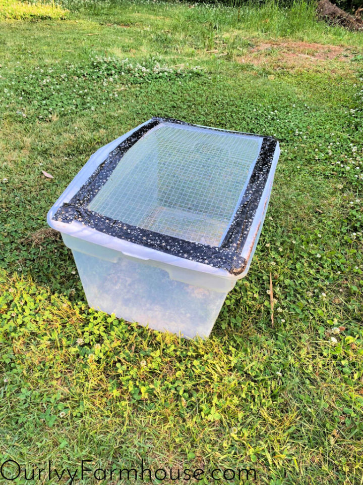 DIY Chick Brooder to Keep Your Chicks Healthy and Happy - Blitsy