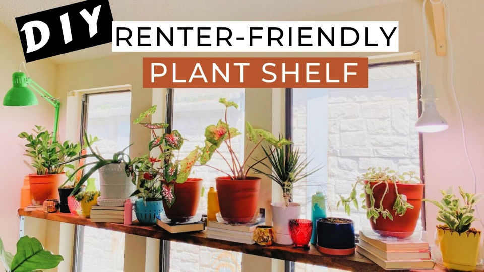 DIY Window Plant Shelf to Elevate Your Indoor Garden - Blitsy