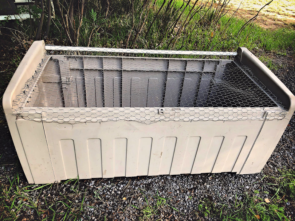 DIY Chick Brooder to Keep Your Chicks Healthy and Happy - Blitsy