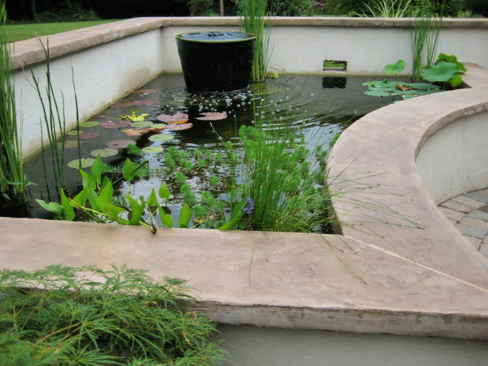 DIY Koi Pond Your Backyard Oasis - Blitsy