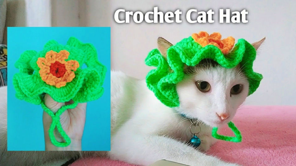 15 Free Crochet Hat Patterns for Cats (Cat Hat Pattern)