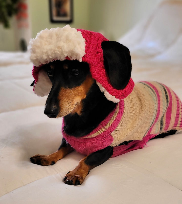 20 Free Crochet Dog Hat Patterns (Detailed Pattern) Blitsy