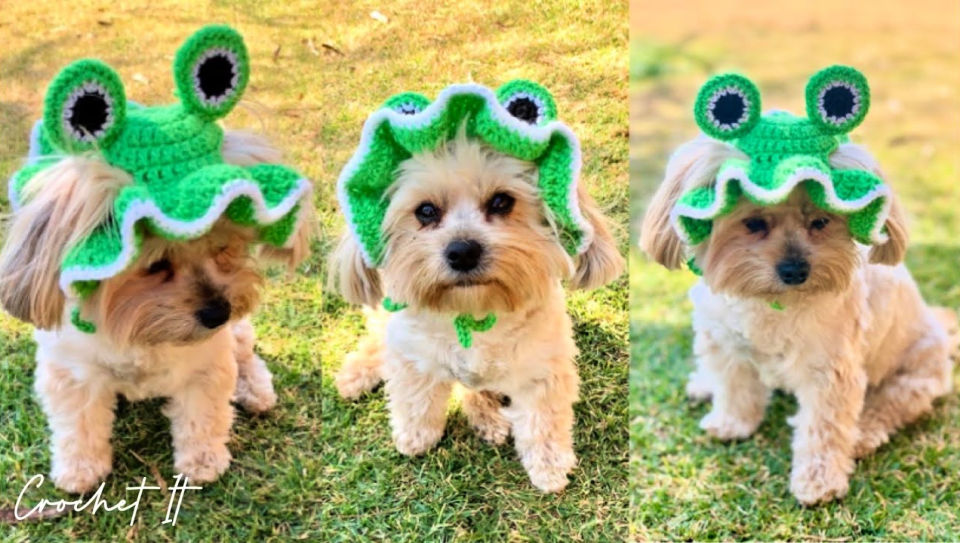 20 Free Crochet Dog Hat Patterns (Detailed Pattern) Blitsy