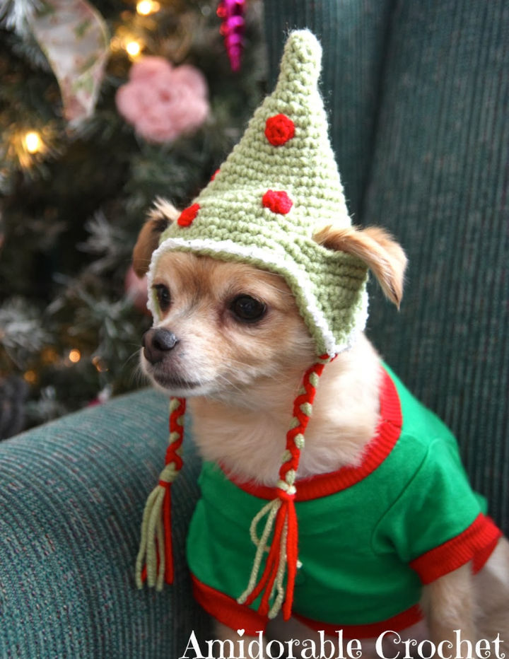 20 Free Crochet Dog Hat Patterns (Detailed Pattern) Blitsy