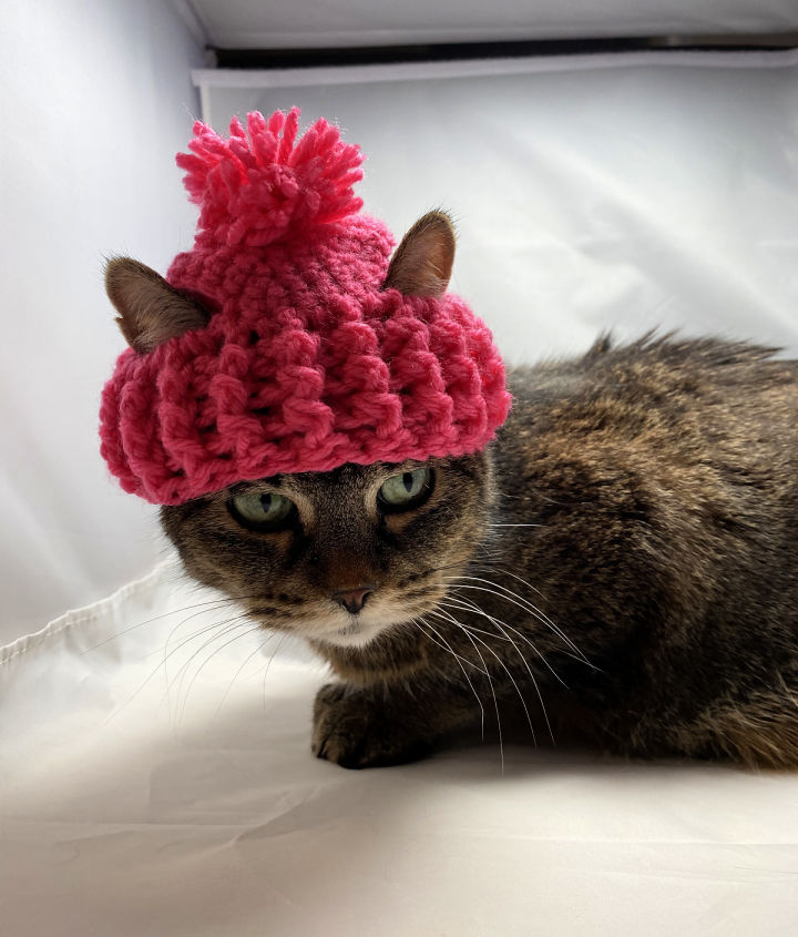 15 Free Crochet Hat Patterns For Cats (cat Hat Pattern)