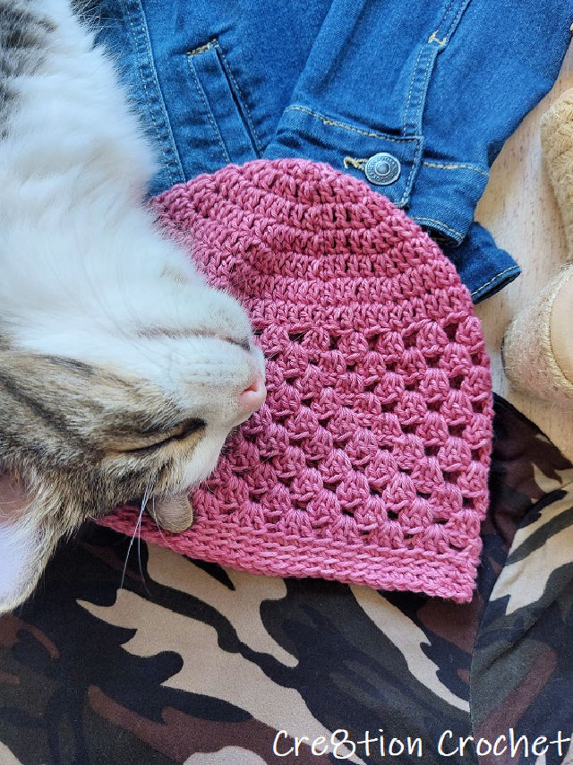 40 Free Crochet Beanie Patterns (All Sizes Pattern) - Blitsy