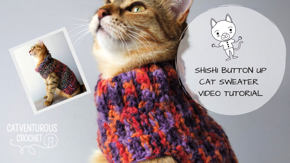 14 Free Crochet Cat Sweater Patterns Blitsy