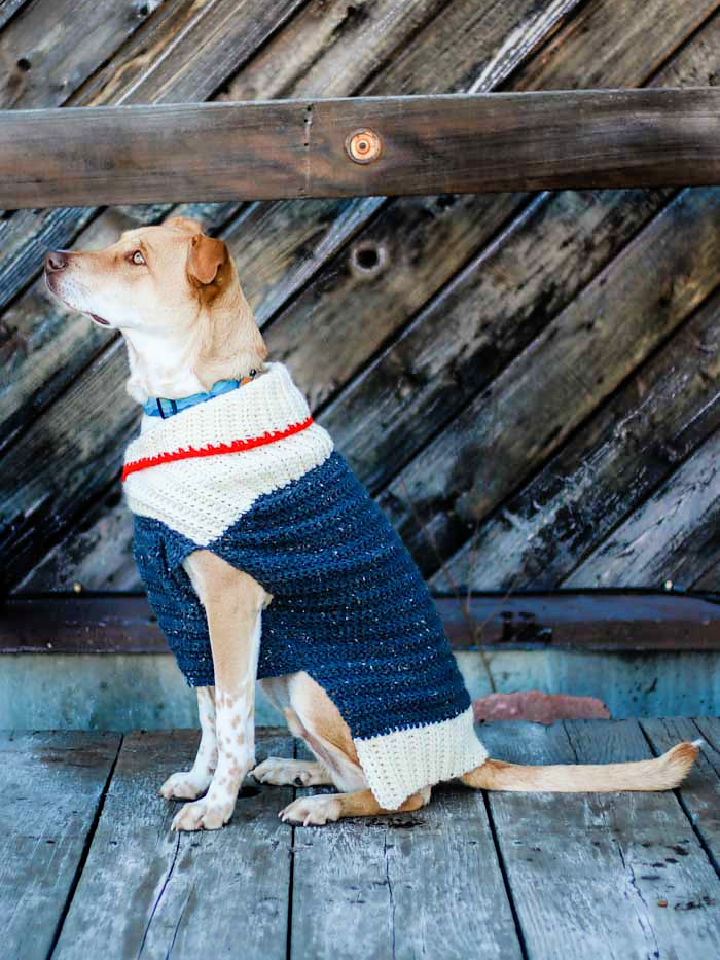 30 Free Crochet Dog Sweater Patterns (Easy Pattern)