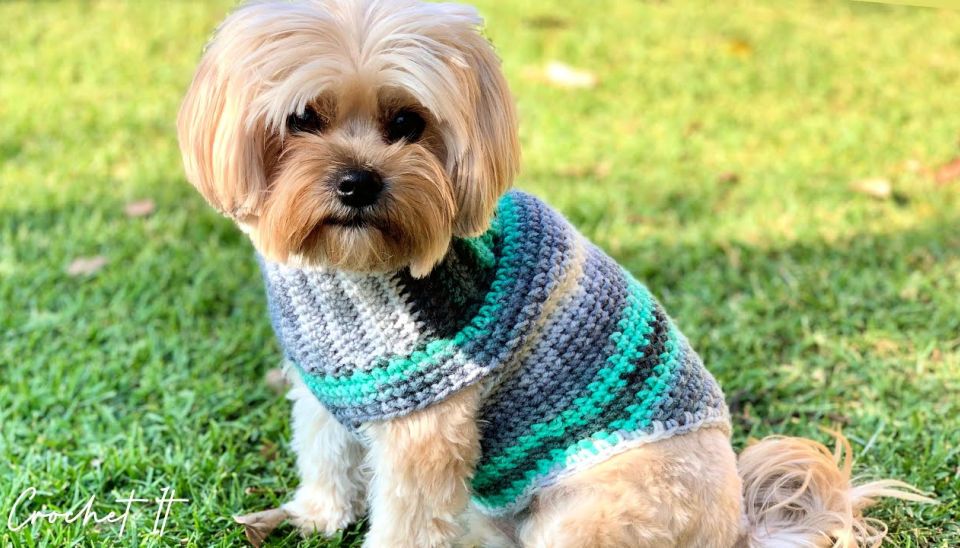30 Free Crochet Dog Sweater Patterns (Easy Pattern)