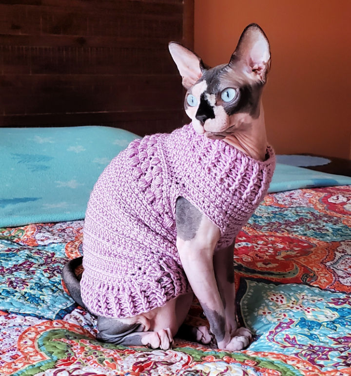 14 Free Crochet Cat Sweater Patterns - Blitsy