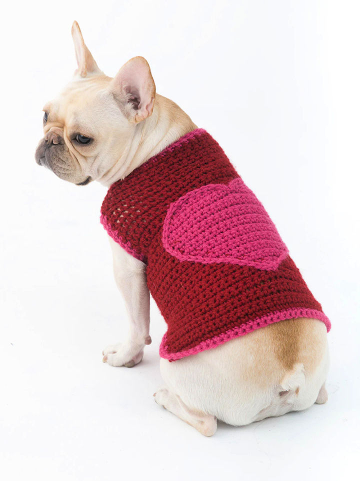 30 Free Crochet Dog Sweater Patterns (Easy Pattern)