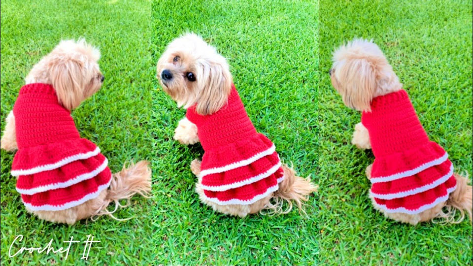 30 Free Crochet Dog Sweater Patterns (Easy Pattern) 30 Free Crochet Dog Sweater Patterns (Easy Pattern)