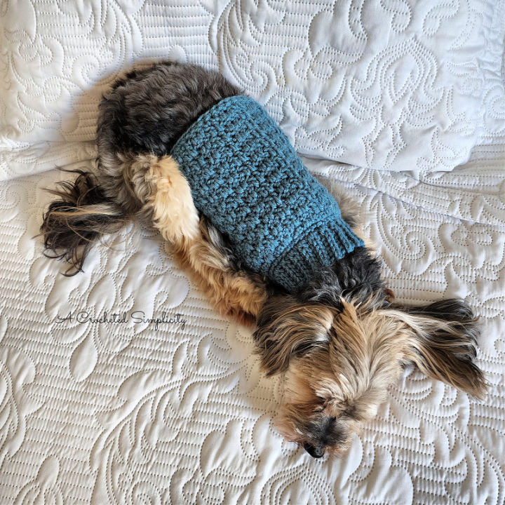 30 Free Crochet Dog Sweater Patterns (Easy Pattern)