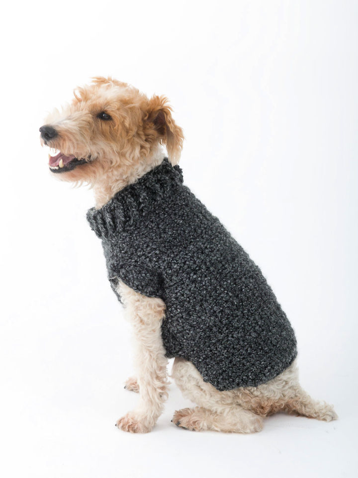 30 Free Crochet Dog Sweater Patterns (Easy Pattern)