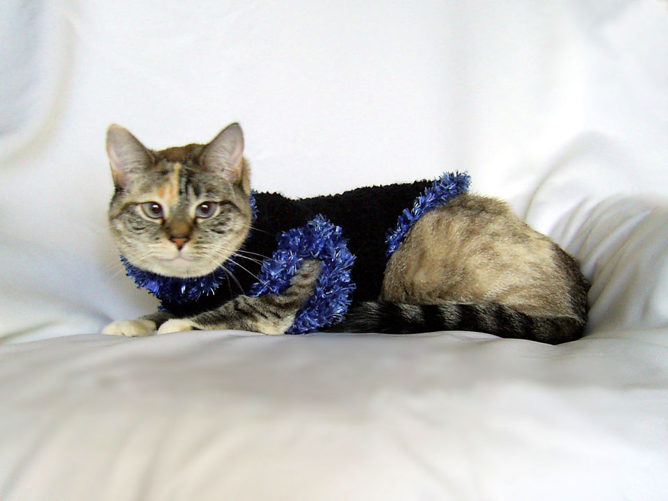 14 Free Crochet Cat Sweater Patterns Blitsy