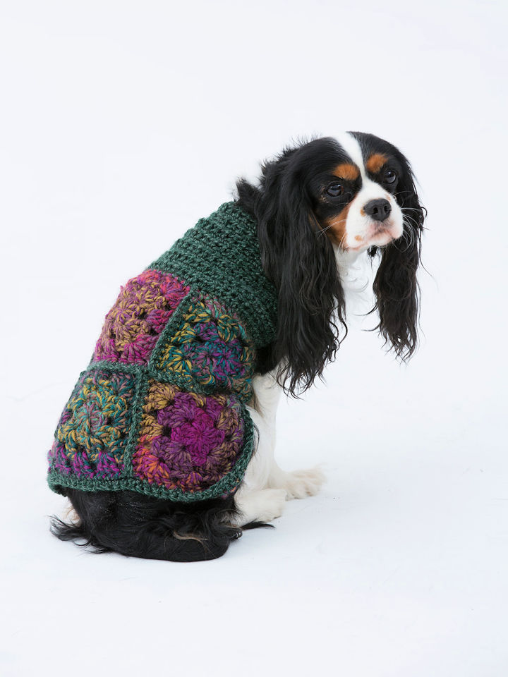30 Free Crochet Dog Sweater Patterns (Easy Pattern)