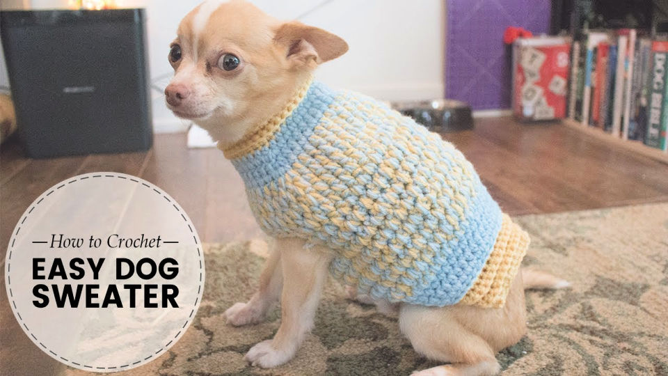 30 Free Crochet Dog Sweater Patterns (Easy Pattern)