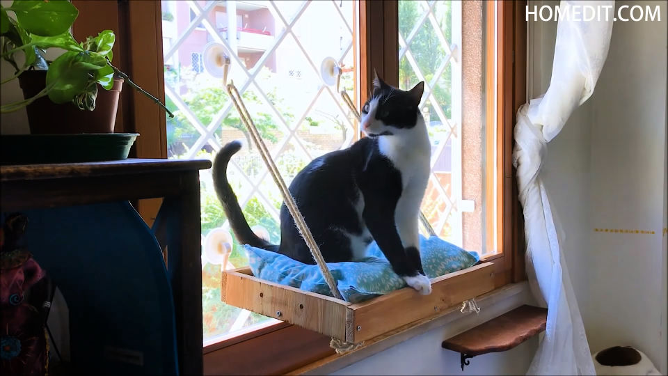DIY Cat Window Perch Step by Step Guide Blitsy
